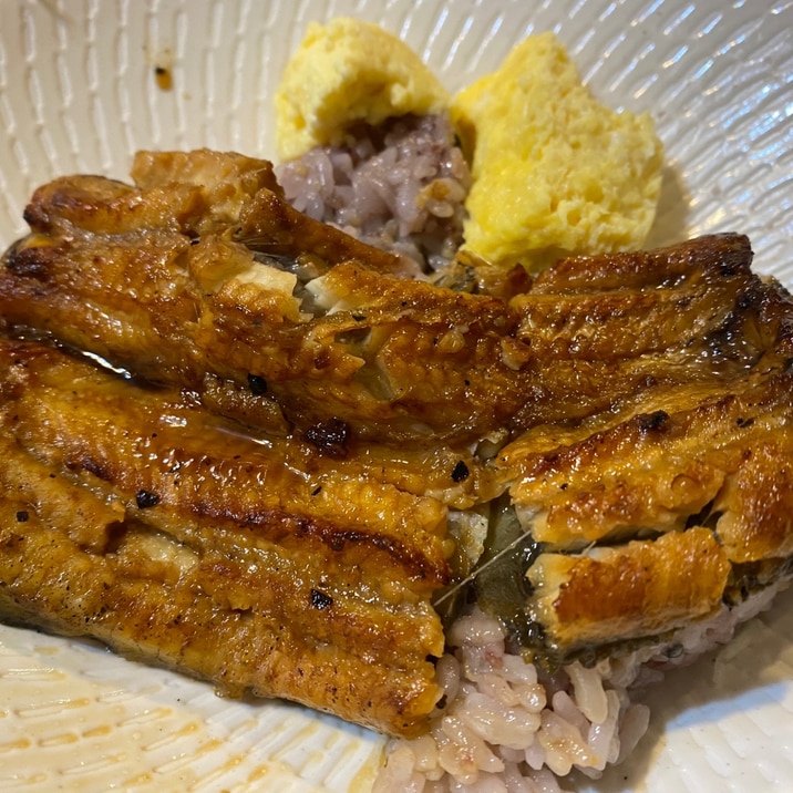 五穀米の鰻丼